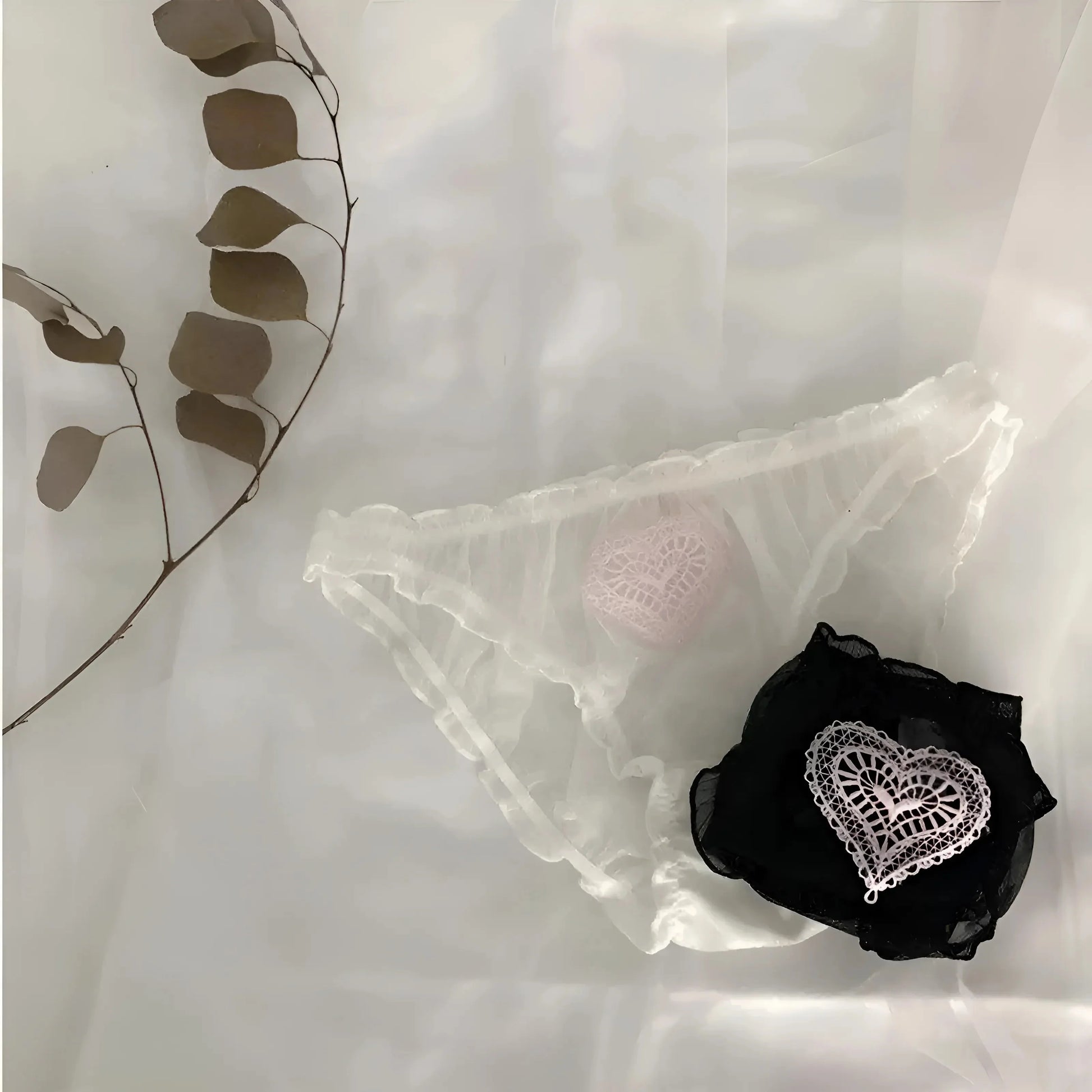  Mutandine Trasparenti con Cuore